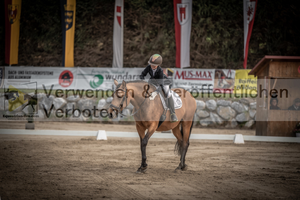DSC_8477 | equestrian-live-com