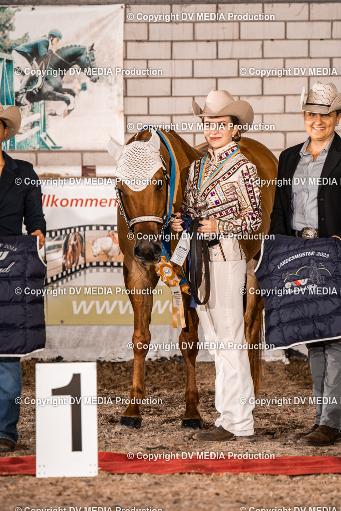 ZH100256 | dv-media-shop - Realisiert mit Pictrs.com