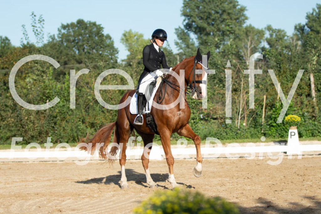 IMG_5838 | Creatify Fotografie