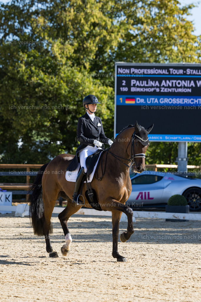 FHC2026_P07_150_17329 | working equitationturnier fotograf videograf stoibphotography marixx film working equitation deutschland reitsport turnierfotografie eventfotografie equestrian events
