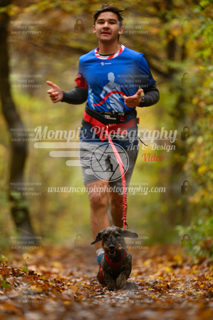 MompixPhotography_CD7S_DI_CCL-44 | mompixphotography