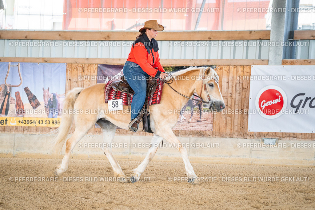 DSC02796 | Pferdegrafie