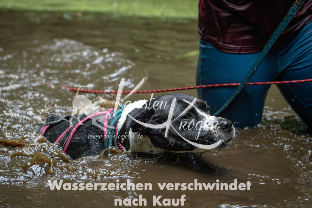 1533_ZZ91340-Bearbeitet | kk-dogfotos
