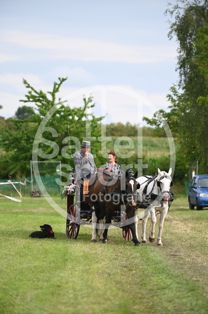 DSC_3629 | sattelsport - Realisiert mit Pictrs.com