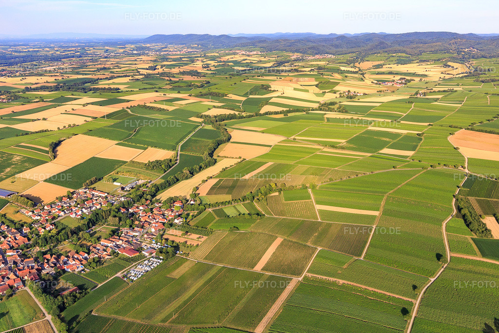 Luftbild: Weinberge und Felder Richtung Haardtrand in Dierbach im Bundesland Rheinland-Pfalz in Deutschland. Foto: IMG_120996.jpg vom 04.07.2020 durch Werner Riehm/FLY-FOTO.de