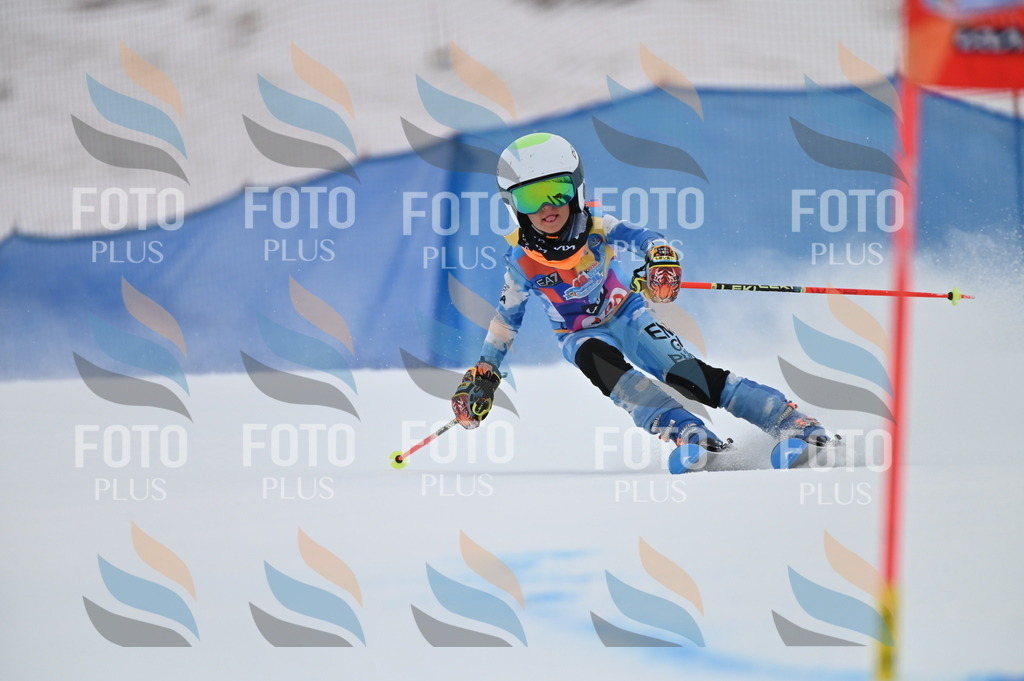 BGV_1530 | holidayphoto