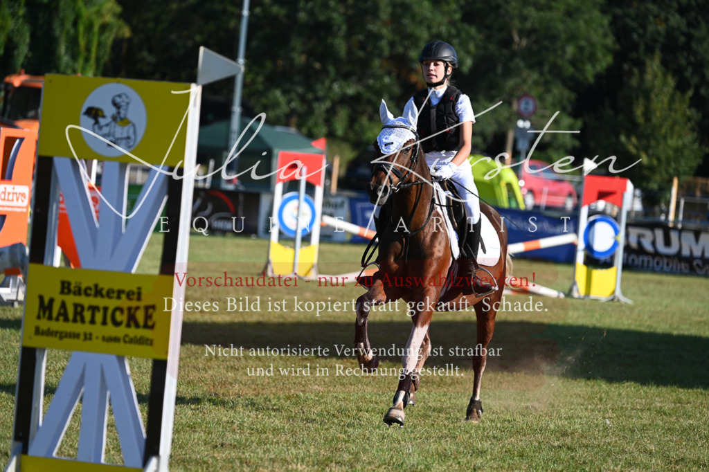 DSC_4777 | Pferde- und Turnierfotografie in Westsachsen. Pferdeportraits, Auftragszeichnungen und intuitive Kunst.