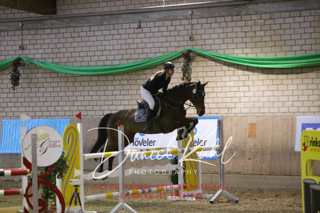 IMG_0926 | Turnierfotos kaufen im Webshop von Daniel Kuhl Photography – entdecke professionelle Reitsportfotos aus Turnieren & Events. Hochwertige Turnierbilder online bestellen & sichern. Jetzt Fotos von Reitsportturnieren kaufen!