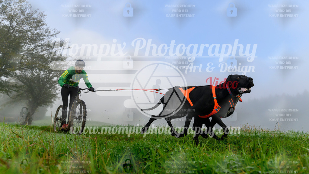 MompixPhotography_20TSB_E5_DS2-8 | PayLife