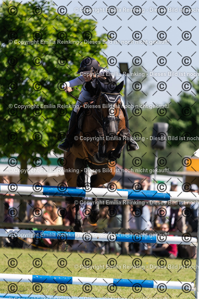 CL5A1355 | Emilia Reinking Fotografie - Realisiert mit Pictrs.com