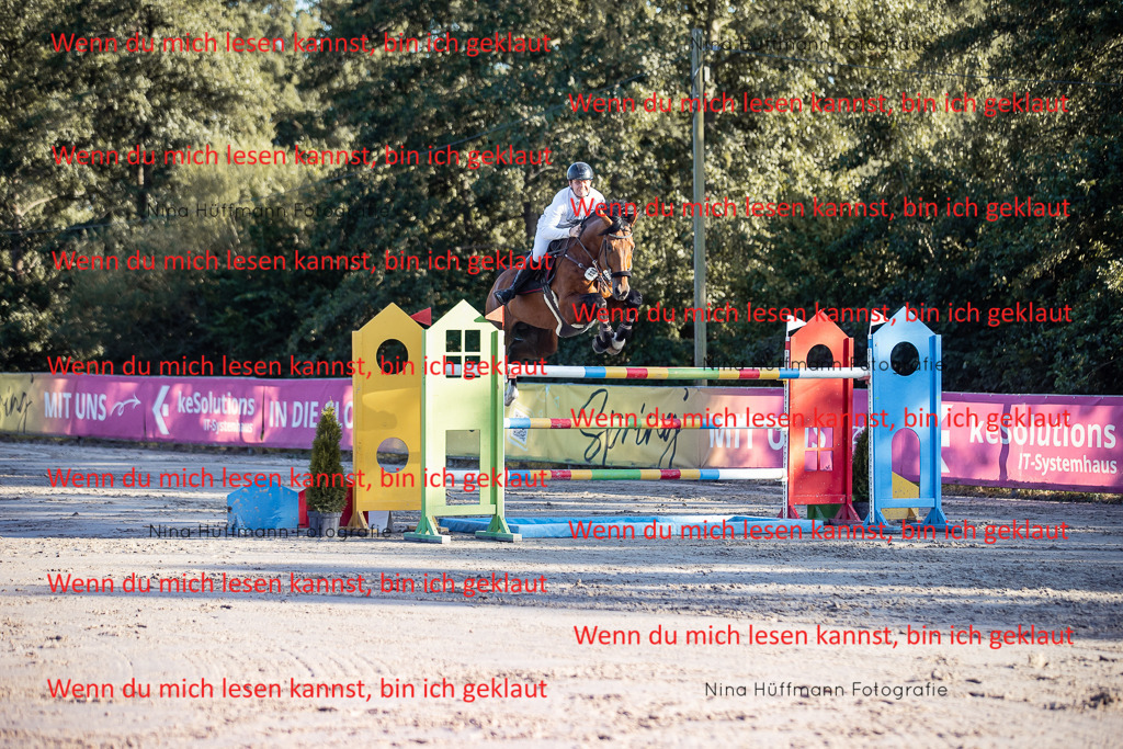 BK1A8793 | Turnierbilder Turnierfotos Nina Hüffmann Turnierfotografie Pferdefotografie Tierzeichnung Haustierzeichnung Pferdezeichnung Hundezeichnung Videograf  - Realisiert mit Pictrs.com