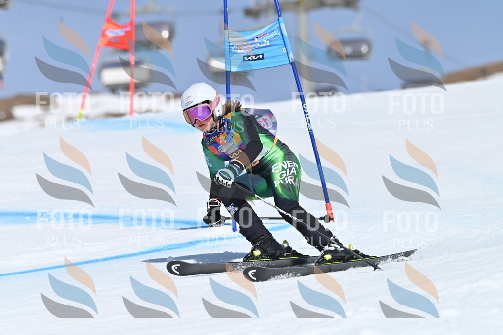 BGV_9990 | holidayphoto