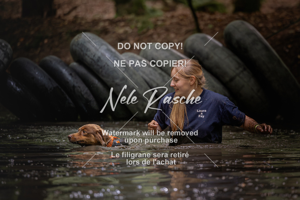 nelerasche_SaWingst1400-1500_202 | nelerasche