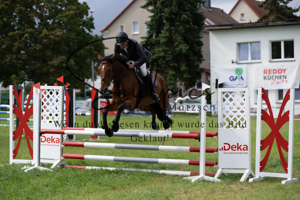 A7V03987 | Pferdefotograf