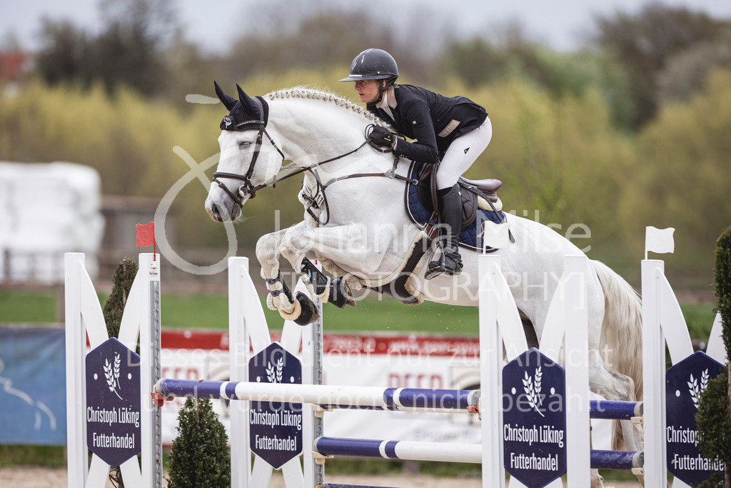 250417_Springpferde-L2-361 | Deine schönsten Turniermomente als professionelle Fotos! Entdecke hochwertige Pferdesport-Fotografie im Online-Shop. Jetzt Fotos finden & bestellen!