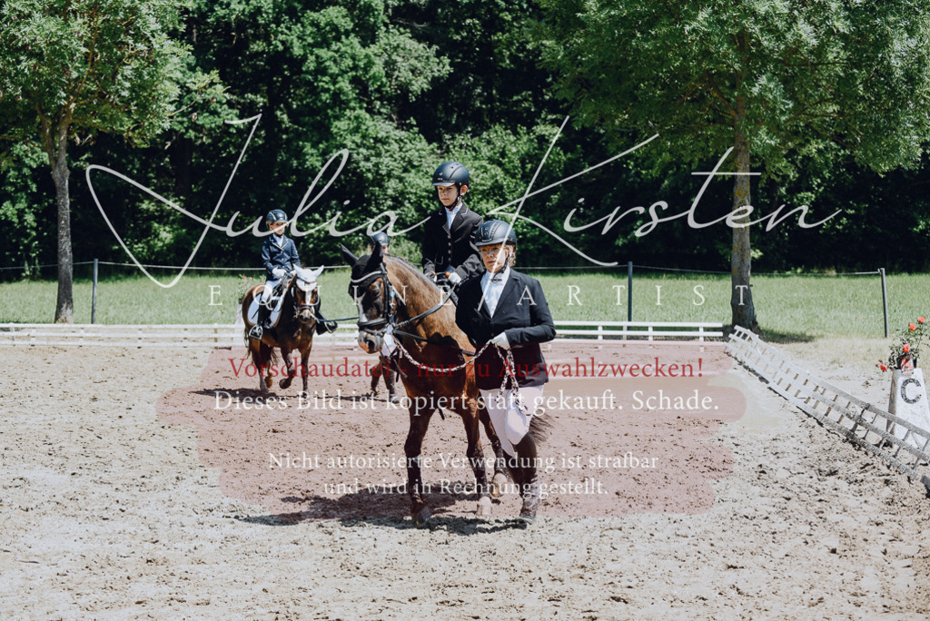DSC_2155 | Pferde- und Turnierfotografie in Westsachsen. Pferdeportraits, Auftragszeichnungen und intuitive Kunst.