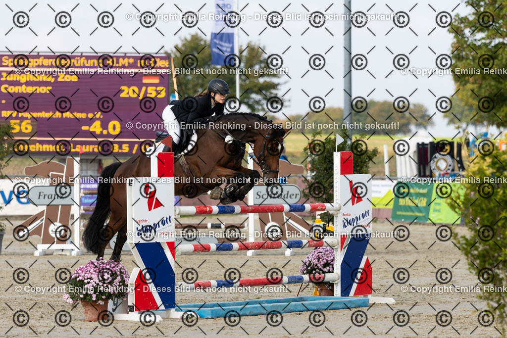 CL5A5202 | Emilia Reinking Fotografie - Realisiert mit Pictrs.com