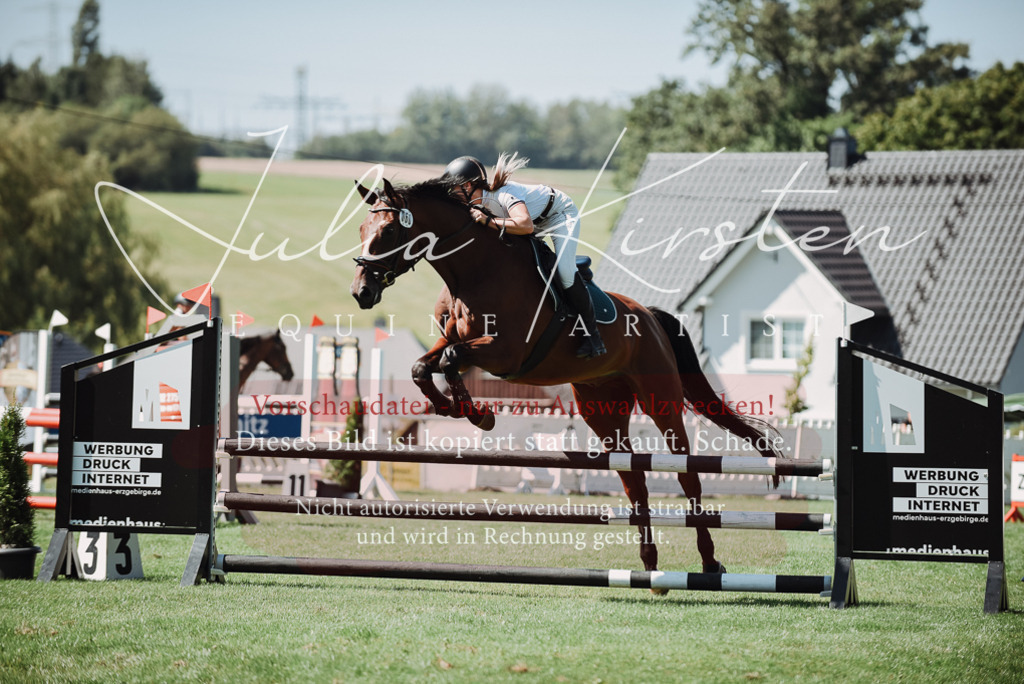 DSC_3075 | Pferde- und Turnierfotografie in Westsachsen. Pferdeportraits, Auftragszeichnungen und intuitive Kunst.
