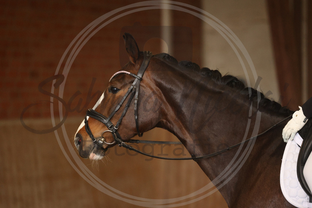 994A9111 | sabrinanicolaifotografie - Realisiert mit Pictrs.com