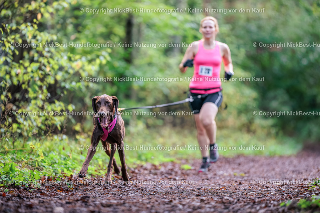 THS-HSV-Blumenthal-2026-Nickbest-Hundefotografie-0177 | Dein Hund! Dein Moment! Deine Erinnerungen! Hundefotografie in Bremen Blumenthal. Ich fange die besonderen Momente deines Vierbeiners ein – ob Indoor mit Blitzanlage oder in der freien Natur. Sicher dir dein Moment und dein Termin für eure Erinnerungen.