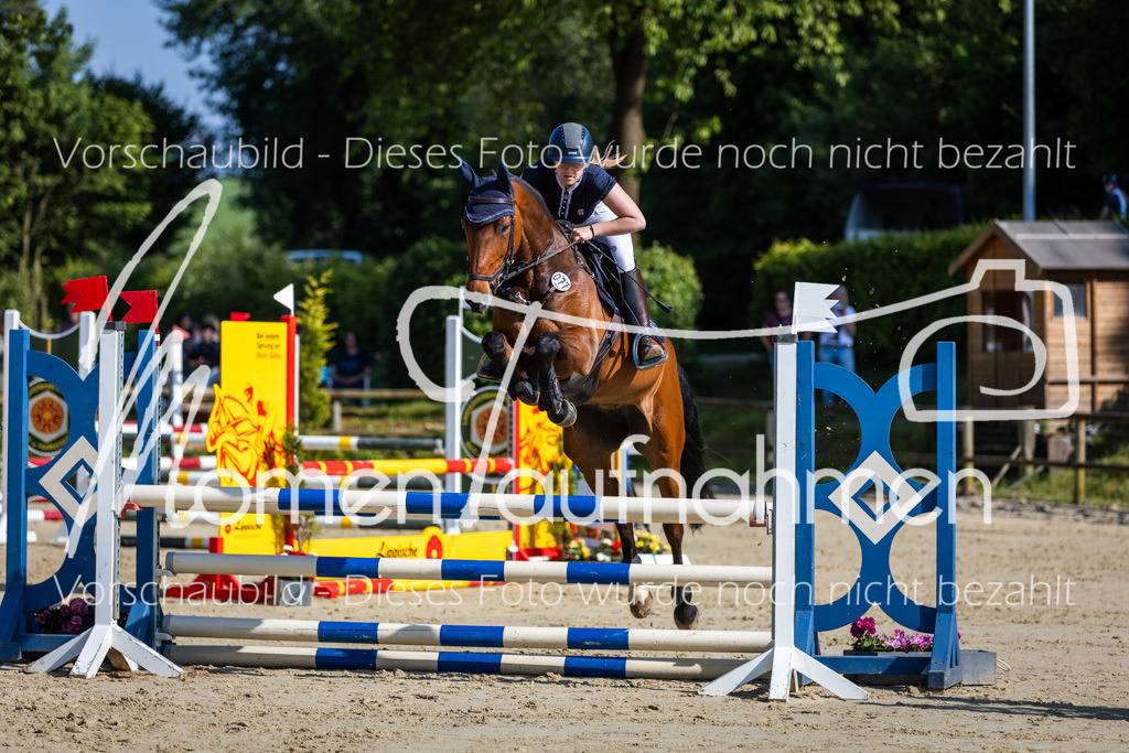 Donop24-ASpr-039 | MomenTaufnahmen Pferdesportfotos