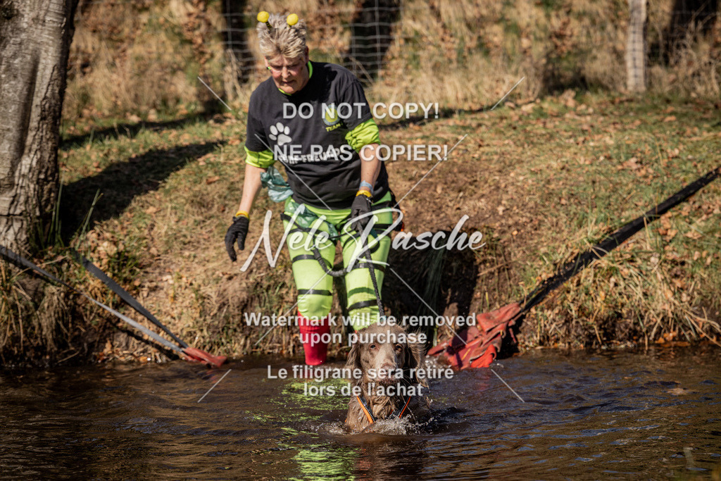 nelerasche_FS1145-1230_88 | nelerasche