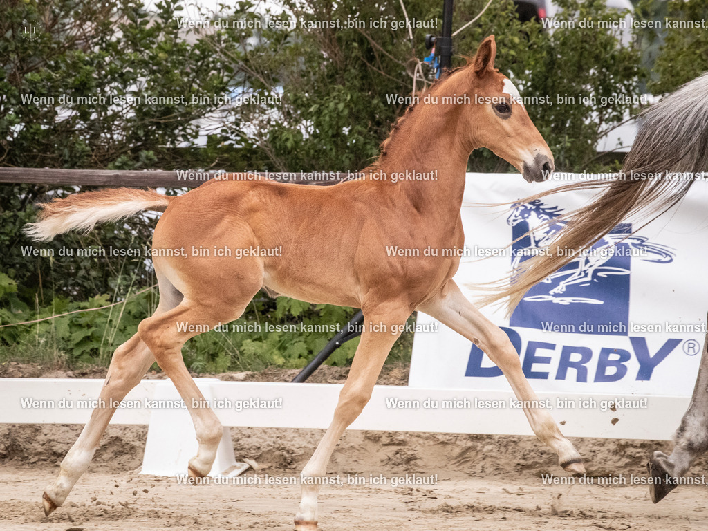 A10I9440 | photographylinaismer - Realisiert mit Pictrs.com