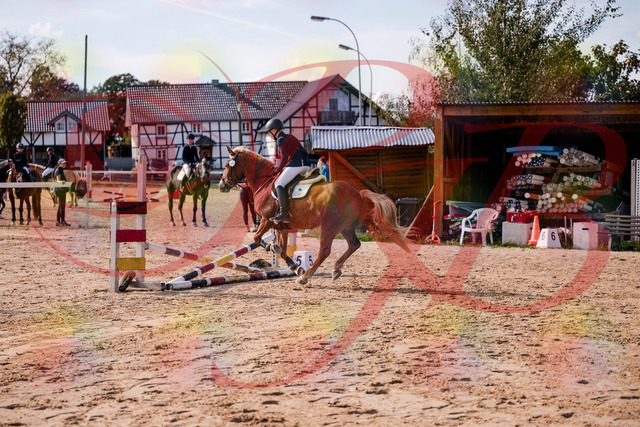 2026_10_03_Siefer-Hof_144727_Z81_24514528 | Professionelle Reitsport-, Turnier- und Eventfotografie von Robert Broda. Galerien mit ausgewählten und bearbeiteten Bildern direkt online ansehen und bestellen.