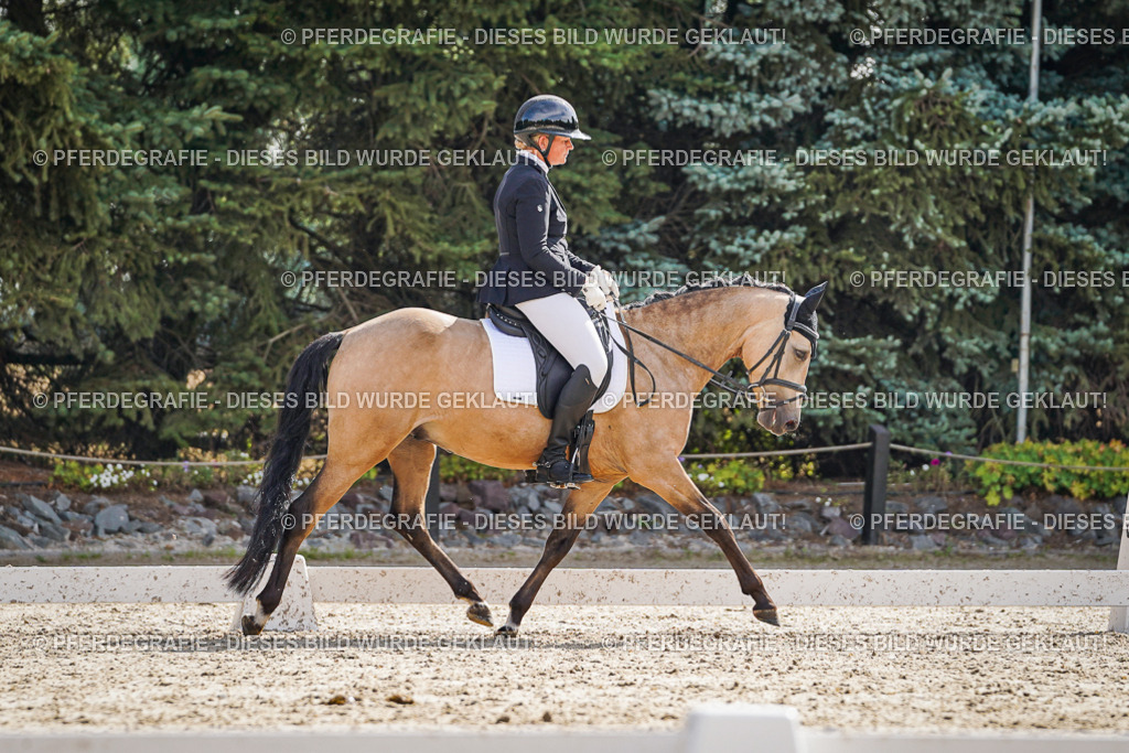 DSC06812 | Pferdegrafie