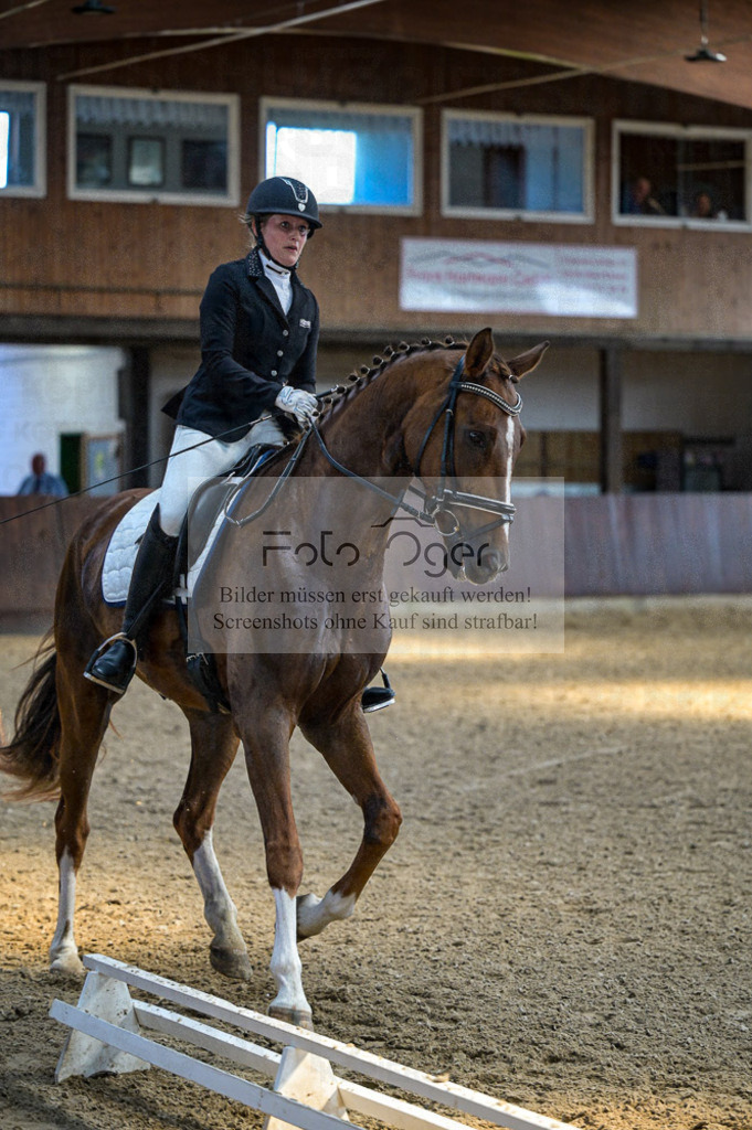 Reitturnier Voxtrup | Entdecke hochwertige Reitturnierfotos von Foto Oger. Professionell, emotional und authentisch – jetzt Lieblingsmomente im Shop bestellen.Deutschlandweite Turnierfotografie. - Realisiert mit Pictrs.com