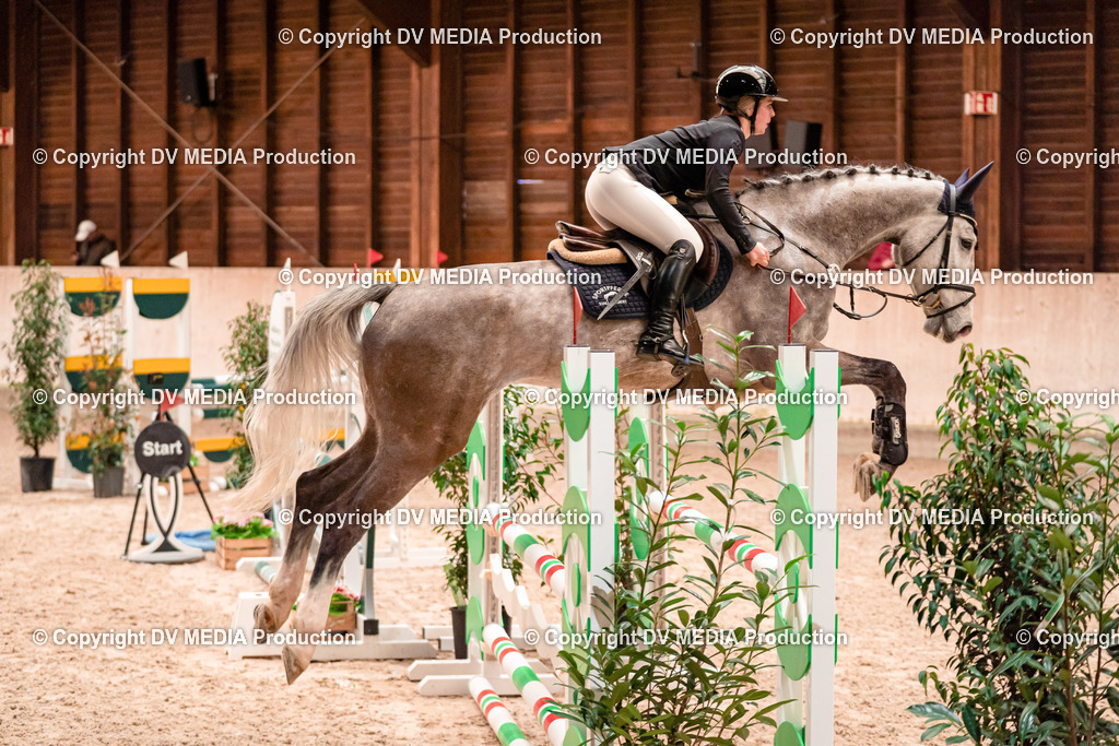 Springen Tag 1-24 | dv-media-shop - Realisiert mit Pictrs.com