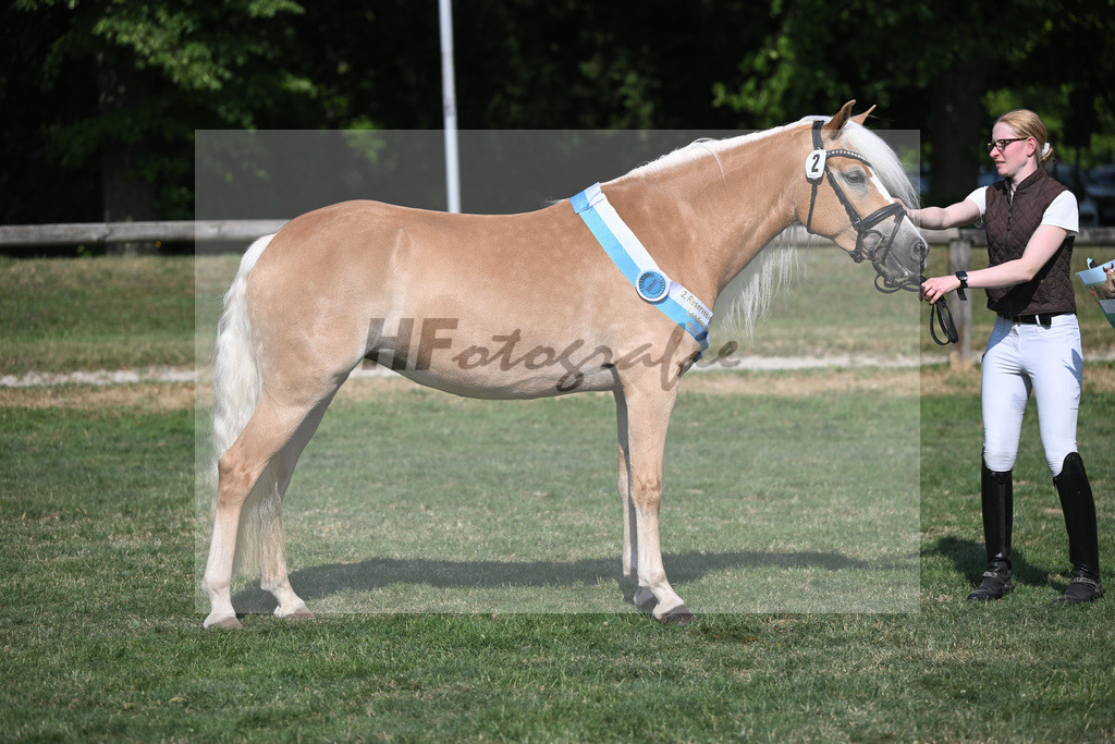 Kat-Nr. 2 Larissa_Weber_20231957 | hf-fotografie - Realisiert mit Pictrs.com