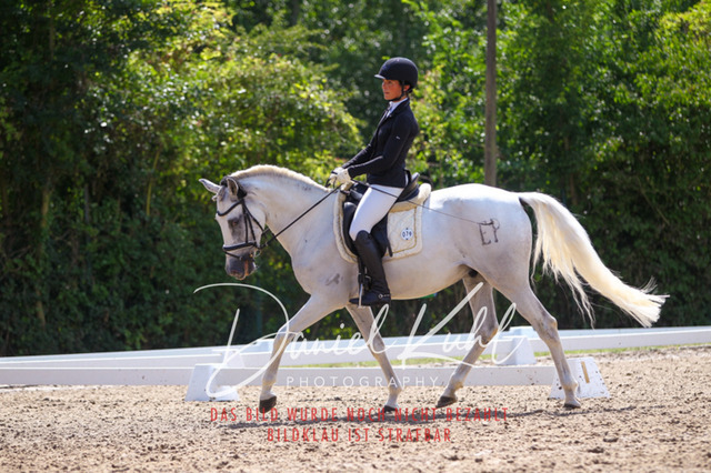 DKP42571 | Turniersportfotografie; Pferdefotografie; Dressurfotografie