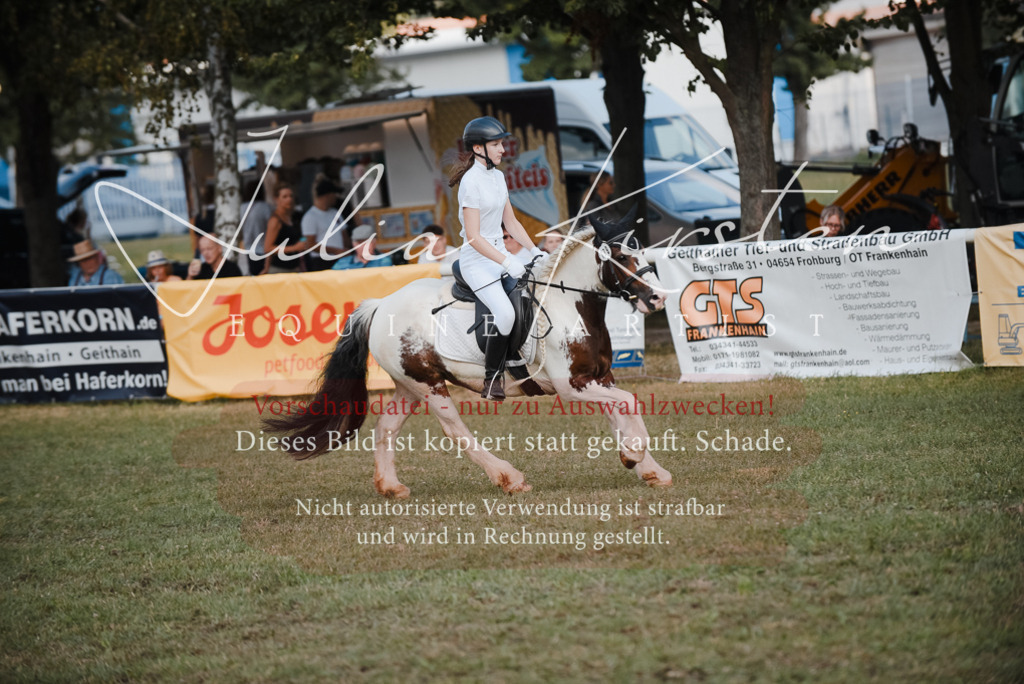 DSC_5368 | Pferde- und Turnierfotografie in Westsachsen. Pferdeportraits, Auftragszeichnungen und intuitive Kunst.