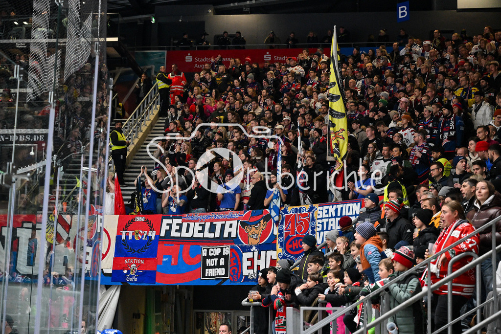 Augsburger Panther - Nürnberg Ice Tigers | AUGSBURG, GERMANY - 28. NOVEMBER: im Bild der mitgereiste Anhang aus Nürnberg beim Ligaspiel zwischen den Augsburger Panthern und den Nürnberg Ice Tigers am 23. Spieltag der Penny DEL im Curt Frenzel Stadion