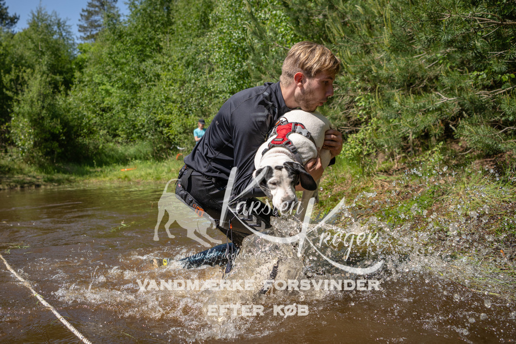 1515DKK992717 | kk-dogfotos