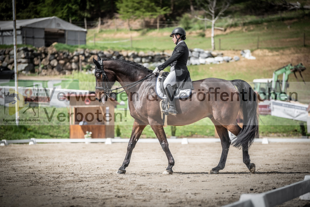 DSC_2930 | equestrian-live-com