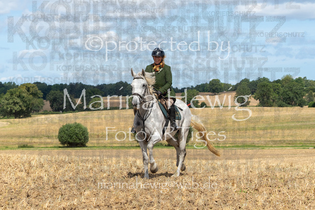 Jagd Wittenberg_MarinaHewig_MCH6650 | Fotografie, FotoArt, PferdesportArt, Pferdesportfotografie, Landschaftsfotografie, Reisefotografie, Reise, Pferde - Realisiert mit Pictrs.com
