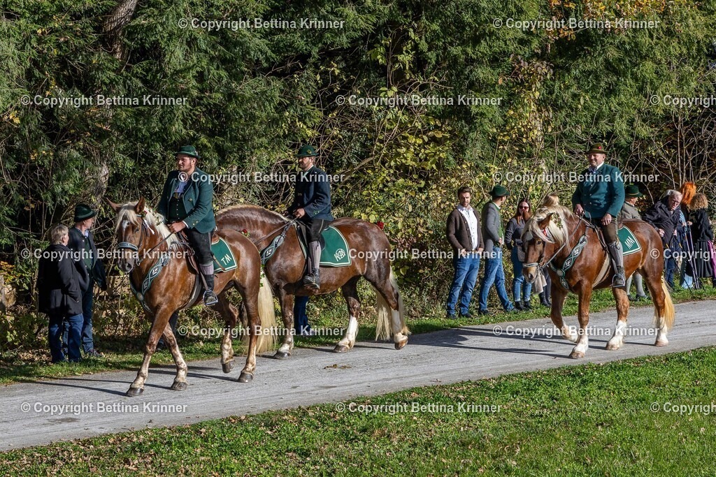 LBT24-940 | foto-bettina-krinner - Realisiert mit Pictrs.com