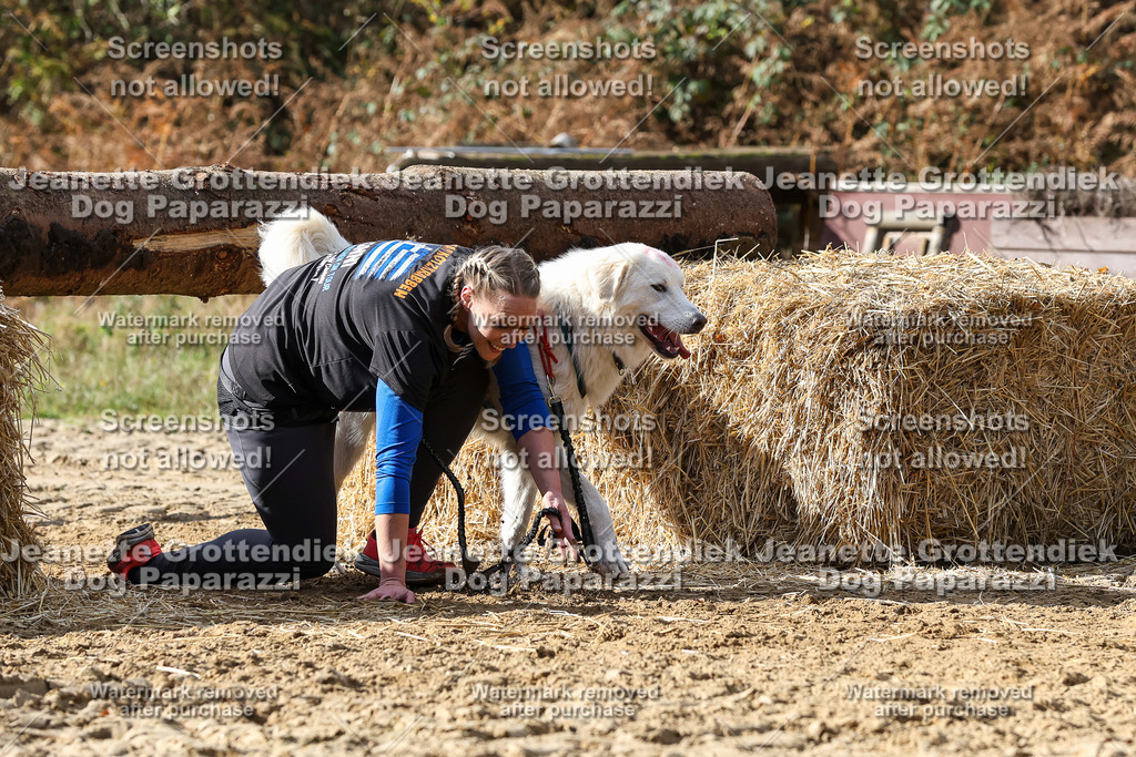 Dog Paparazzi - Strongdog 10-25-5020 | Dog Paparazzi Jeanette Grottendiek Fotografie & Videografie - Realisiert mit Pictrs.com