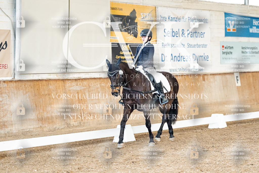 CK900241 | Turnierfotografie Pferdefotografie Trier Rheinland-Pfalz Pferdesport Reitsport Tierfotografie Sportfotografie Pferdevideo Pferdevideografie Equestrianvideography equestrianphotography  - Realized with Pictrs.com