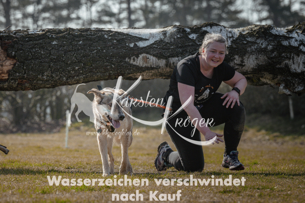 1118_ZZ95116 | kk-dogfotos