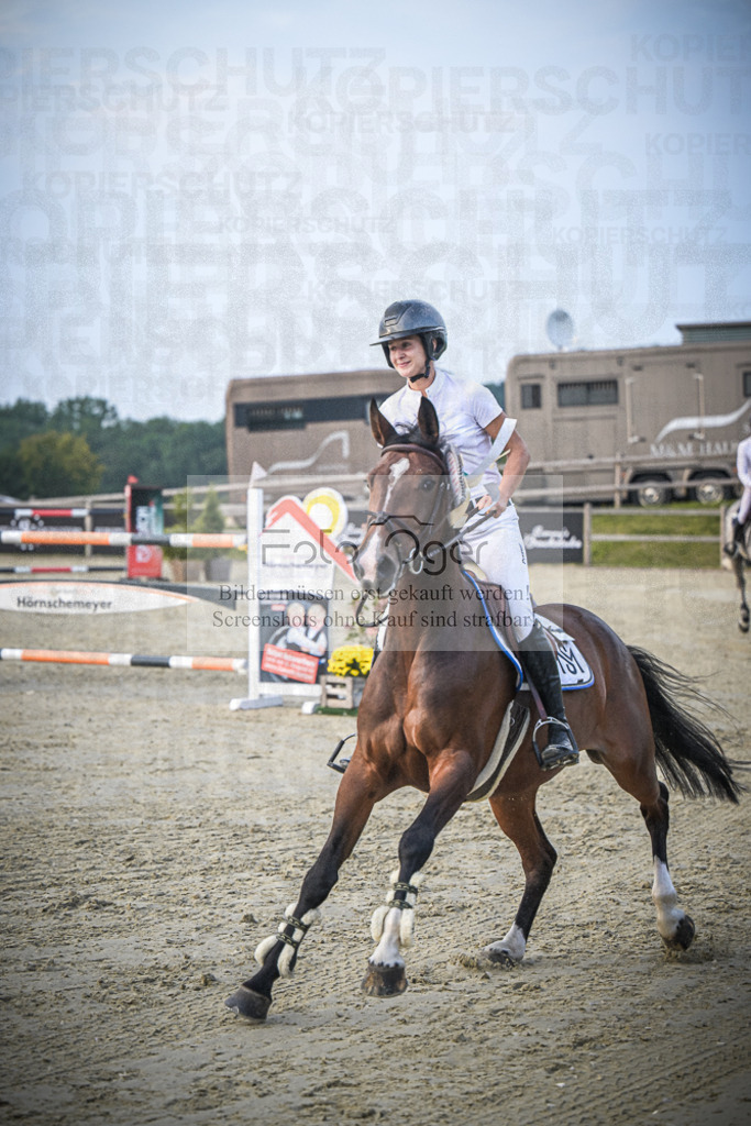 DOS_0373 | Entdecke hochwertige Reitturnierfotos von Foto Oger. Professionell, emotional und authentisch – jetzt Lieblingsmomente im Shop bestellen.Deutschlandweite Turnierfotografie. - Realisiert mit Pictrs.com