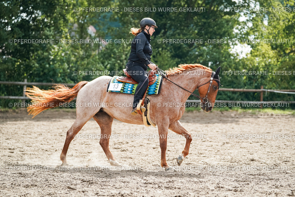 DSC04348 | Pferdegrafie