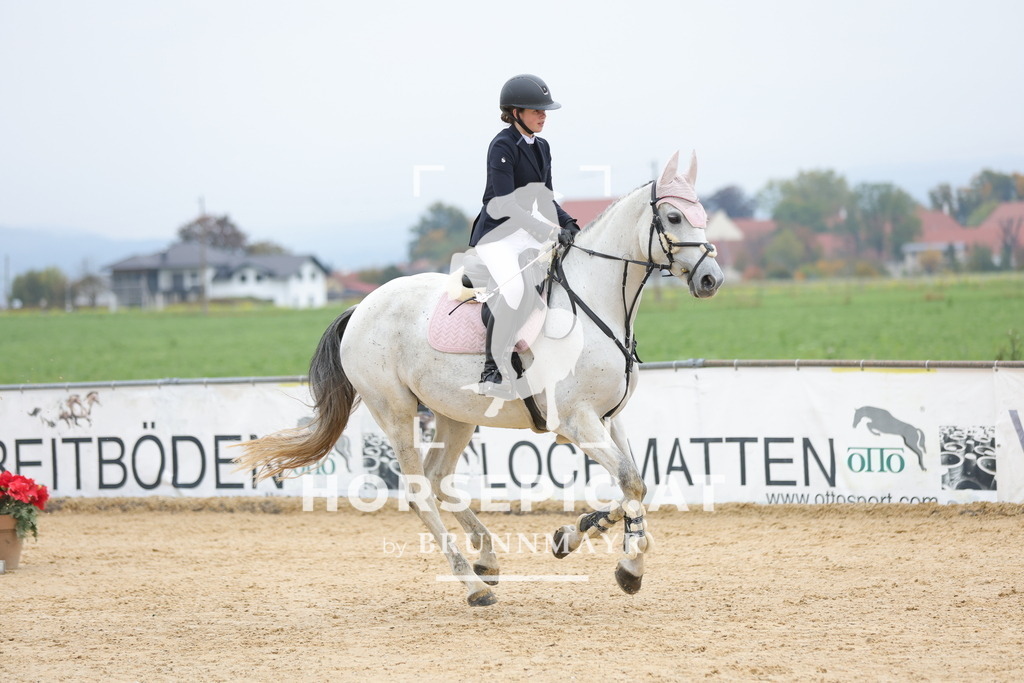 0P6A1287 | Willkommen bei Brunnmayr - Design & Fotografie – Ihrem Spezialisten für Reitturniere und Pferdeveranstaltungen in Oberösterreich, Salzburg und Bayern! Seit über 17 Jahren sind wir leidenschaftlich dabei.