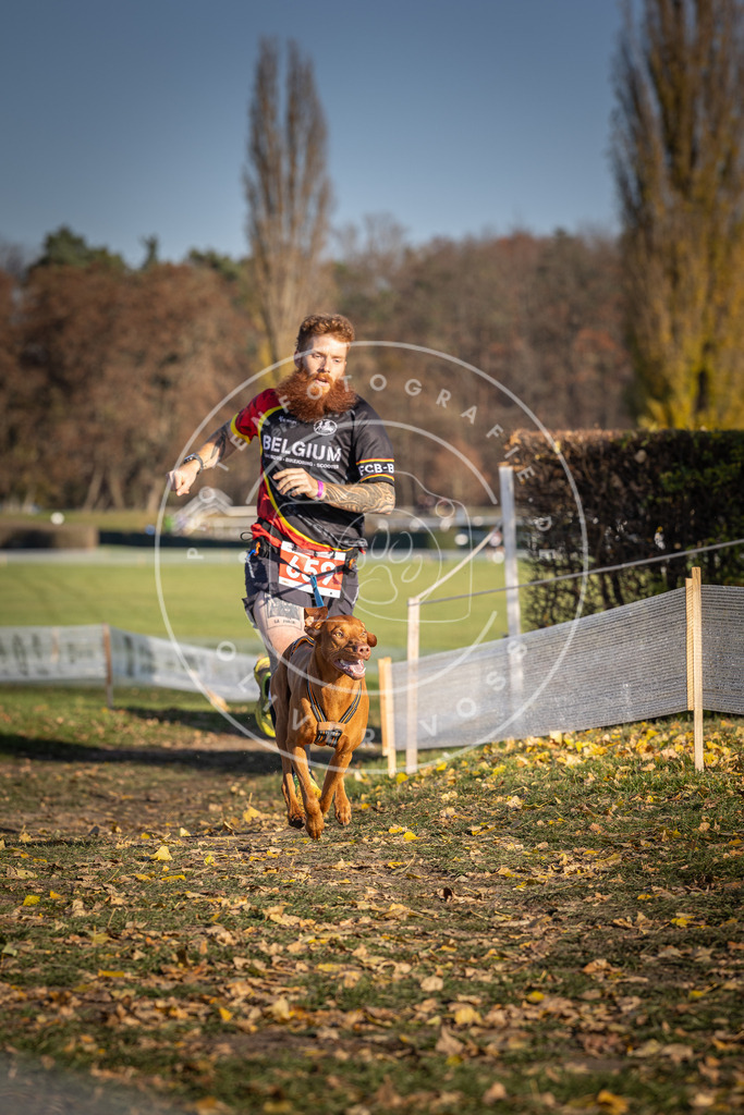 CaniXpix_DV3A0636 | Hundefotografie, Tierfotograf, Pfotenfotografie, Fotoshooting Hund, Hunde Portrait, Hundesport, Hundeportraits, Heideshooting, Hunde, Sportfotograf, Hundefotograf, Turnierhundsport, THS,  - Realisiert mit Pictrs.com