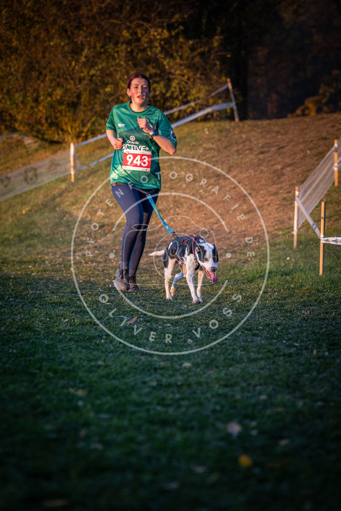 CaniXpix_0L8A1961 | Hundefotografie, Tierfotograf, Pfotenfotografie, Fotoshooting Hund, Hunde Portrait, Hundesport, Hundeportraits, Heideshooting, Hunde, Sportfotograf, Hundefotograf, Turnierhundsport, THS,  - Realisiert mit Pictrs.com