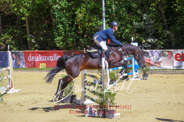 DKP43137 | Deine Turnierfotos vom Reitturnier online kaufen: Dressur, Springen & Siegerehrung. Professionelle Pferdefotografie aus dem Rheinland – als Download & Print.Alternative: Turnierfotograf für den Pferdesport: Finde deine Fotos von Dressur- und Springturnier