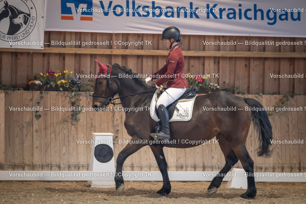 _D5A2129 | Emotionale Pferde- & People-Fotografie rund um Heidelberg, Leimen & Umgebung. Natürliche Fotos von Pferd, Mensch & Familie. Jetzt Termin sichern!