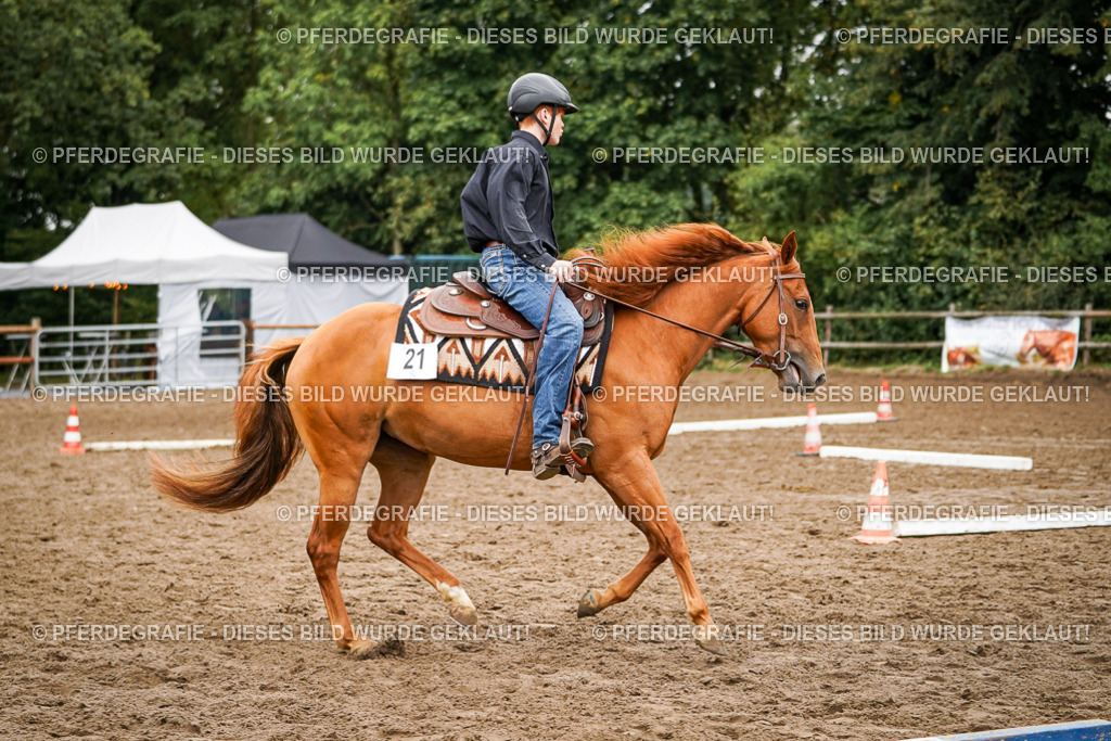 DSC03503 | Pferdegrafie